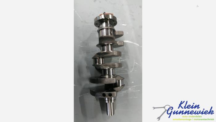 Używane Wal korbowy Opel Corsa Cena € 295,00 Procedura marży oferowane przez Klein Gunnewiek Autodemontage & Motorentechniek