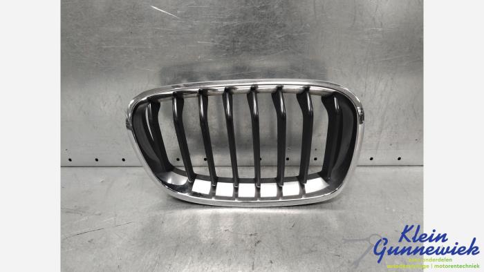 Używane Grill BMW 1-Serie Cena € 40,00 Procedura marży oferowane przez Klein Gunnewiek Autodemontage & Motorentechniek