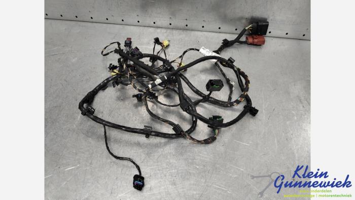 Gebrauchte Pdc Kabelbaum Audi A8 Preis € 85,00 Margenregelung angeboten von Klein Gunnewiek Autodemontage & Motorentechniek