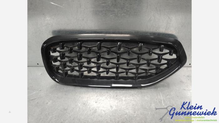 Używane Grill BMW Z4 Cena € 50,00 Procedura marży oferowane przez Klein Gunnewiek Autodemontage & Motorentechniek