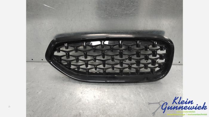 Używane Grill BMW Z4 Cena € 50,00 Procedura marży oferowane przez Klein Gunnewiek Autodemontage & Motorentechniek