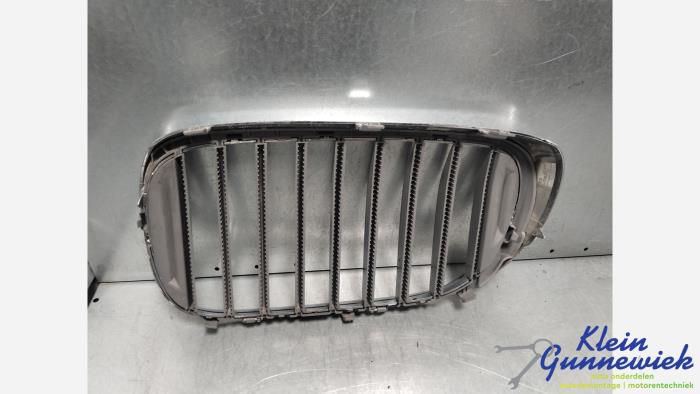 Grill från en BMW 7-Serie 2015