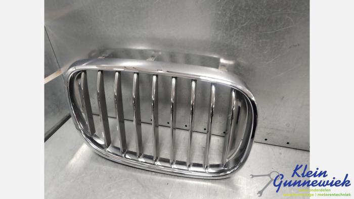 Grill från en BMW 7-Serie 2015