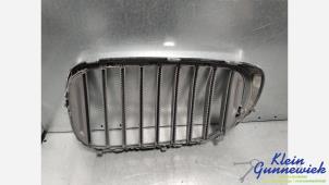 Grill från en BMW 7-Serie 2015