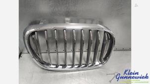 Grill från en BMW 7-Serie 2015