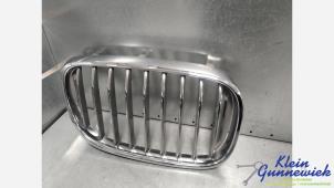 Grill från en BMW 7-Serie 2015