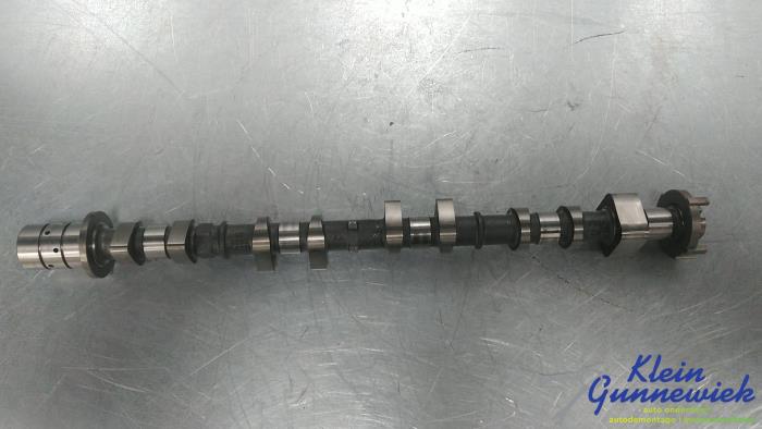 Gebrauchte Nockenwelle Ford Focus Preis € 140,00 Margenregelung angeboten von Klein Gunnewiek Autodemontage & Motorentechniek