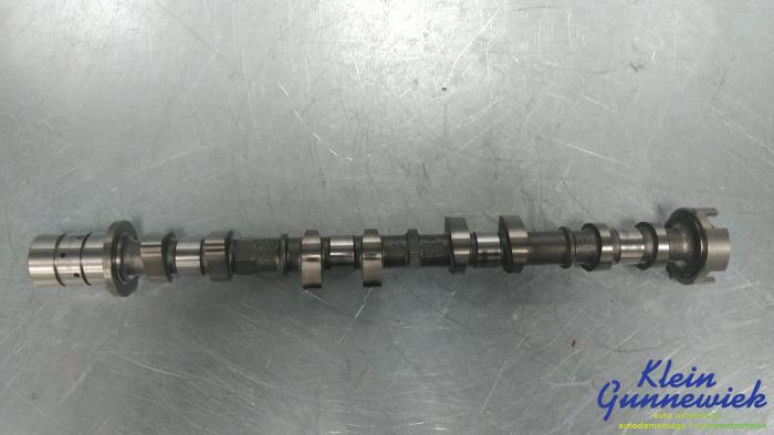 Gebrauchte Nockenwelle Ford Focus Preis € 75,00 Margenregelung angeboten von Klein Gunnewiek Autodemontage & Motorentechniek