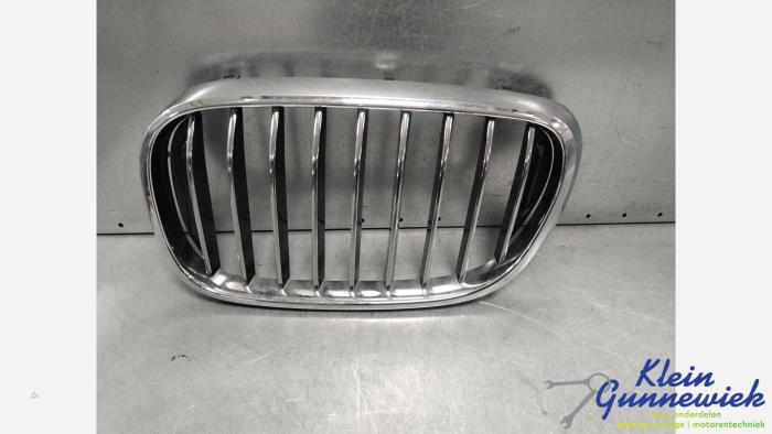 Używane Grill BMW 7-Serie Cena € 55,00 Procedura marży oferowane przez Klein Gunnewiek Autodemontage & Motorentechniek