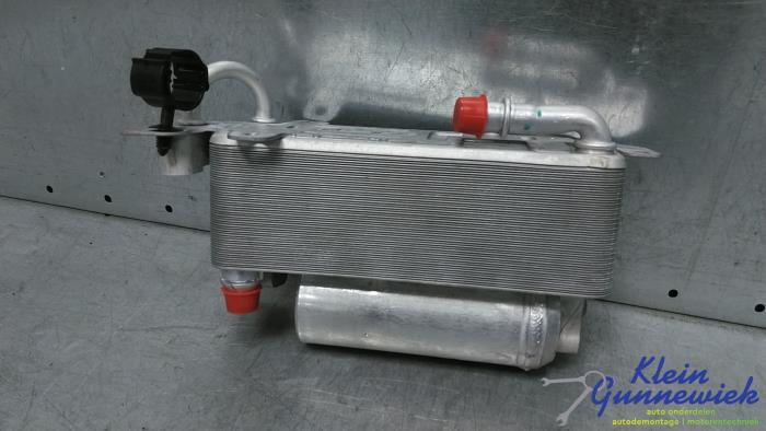 Gebrauchte Klima Kondensor BMW X5 Preis € 60,00 Margenregelung angeboten von Klein Gunnewiek Autodemontage & Motorentechniek