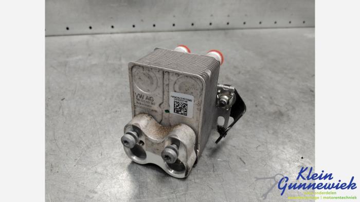 Usagé Echangeur de chaleur Cupra Formentor Prix € 185,00 Règlement à la marge proposé par Klein Gunnewiek Autodemontage & Motorentechniek
