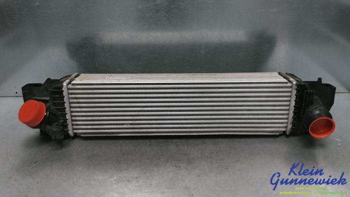Usados Intercooler Mini Mini Precio € 115,00 Norma de margen ofrecido por Klein Gunnewiek Autodemontage & Motorentechniek