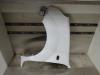 Renault Kangoo Express (FC) 1.5 dCi 60 Front wing, left