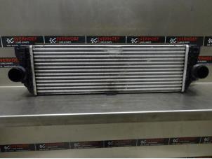 Usagé Echangeur air (Intercooler) Mercedes Sprinter 5t (906.63/65) 514 CDI 16V Prix € 181,50 Prix TTC proposé par Verhoef Cars & Parts