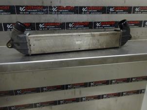 Used Intercooler Fiat Doblo Cargo (223) 1.3 JTD 16V Multijet Price on request offered by Verhoef Cars & Parts