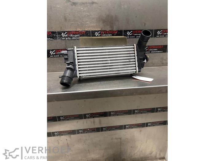 Usados Intercooler Ford Fiesta 7 1.0 EcoBoost 12V Precio € 100,00 Norma de margen ofrecido por Verhoef Cars & Parts