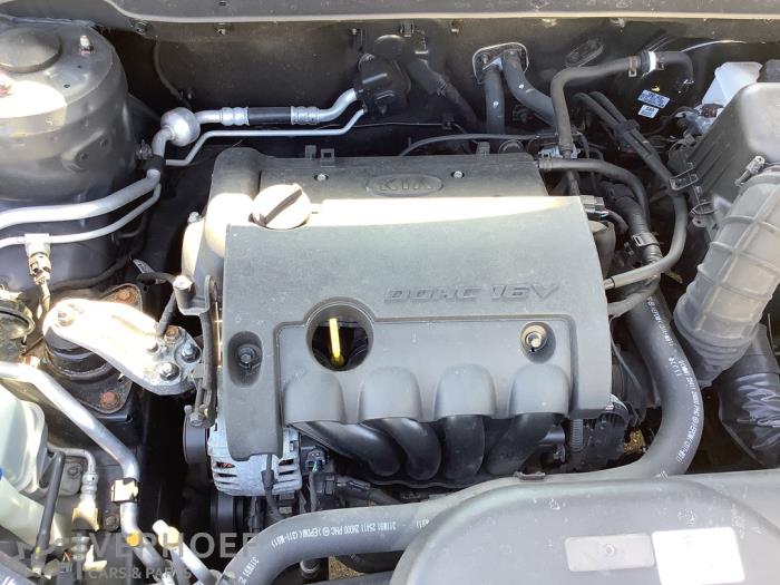 Gebrauchte Motor Kia Cee'd Sporty Wagon (EDF) 1.4 CVVT 16V Preis auf Anfrage angeboten von Verhoef Cars & Parts