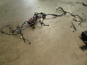 Used Wiring harness Toyota Prius (ZVW3) 1.8 16V Price on request offered by Verhoef Cars & Parts