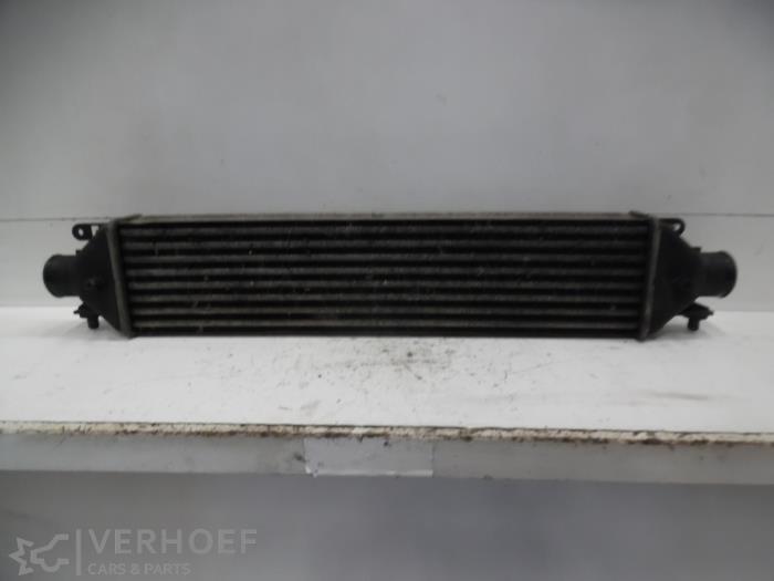 Usados Intercooler Fiat Doblo Cargo (263) 1.3 MJ 16V Euro 4 Precio € 50,00 Norma de margen ofrecido por Verhoef Cars & Parts