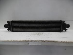 Used Intercooler Fiat Doblo Cargo (263) 1.3 MJ 16V Euro 4 Price on request offered by Verhoef Cars & Parts