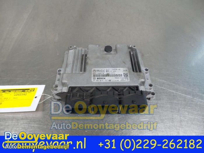 Used Engine management computer Ford Fiesta 6 (JA8) 1.6 TDCi 16V 95 Price € 39,99 Margin scheme offered by Autodemontagebedrijf De Ooyevaar