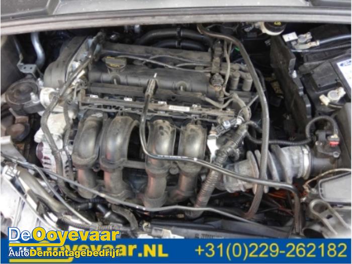 Pnda ford двигатель