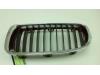 BMW 3 serie Touring (F31) 316d 2.0 16V Grille