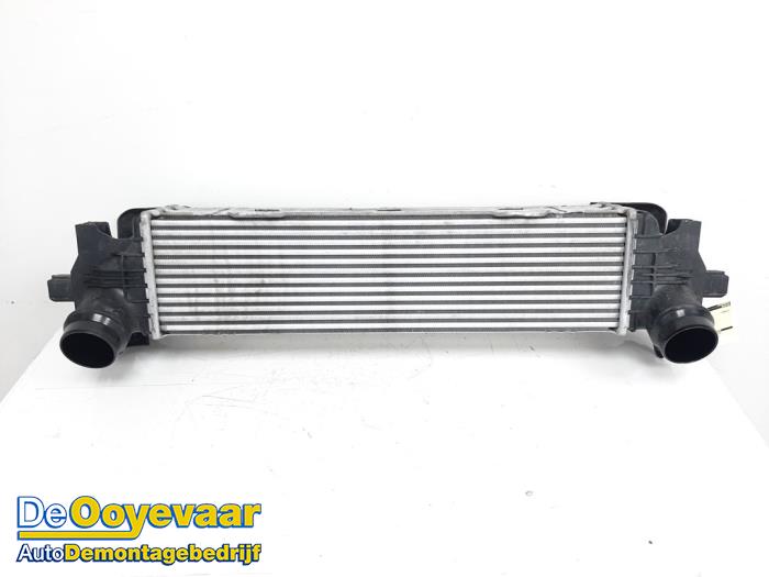 Usados Intercooler BMW 5 serie (G30) 530d xDrive 3.0 TwinPower Turbo 24V Precio € 199,99 Norma de margen ofrecido por Autodemontagebedrijf De Ooyevaar