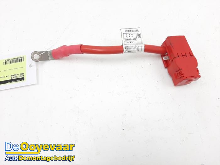 Gebrauchte Batteriesensor BMW 5 serie (G30) 530d xDrive 3.0 TwinPower Turbo 24V Preis € 19,99 Margenregelung angeboten von Autodemontagebedrijf De Ooyevaar