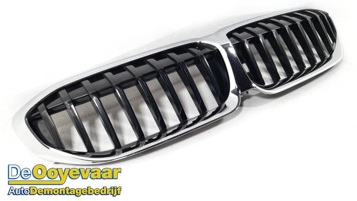 Używane Grill BMW 3 serie (G20) 318d 2.0 TwinPower Turbo 16V Cena € 59,99 Procedura marży oferowane przez Autodemontagebedrijf De Ooyevaar