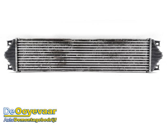 Usados Intercooler Nissan Interstar (X70) 2.5 dCi 16V Euro III Precio € 19,99 Norma de margen ofrecido por Autodemontagebedrijf De Ooyevaar
