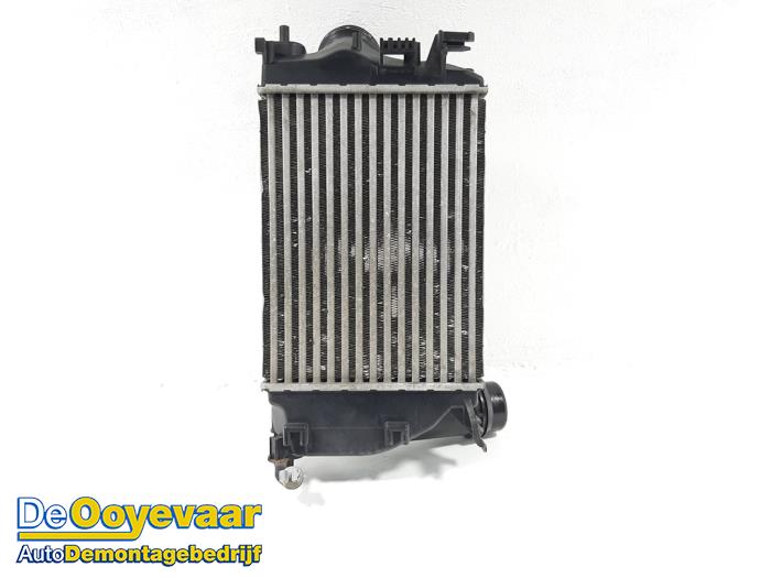 Used Intercooler Renault Scénic IV (RFAJ) 1.2 TCE 130 16V Price € 49,99 Margin scheme offered by Autodemontagebedrijf De Ooyevaar