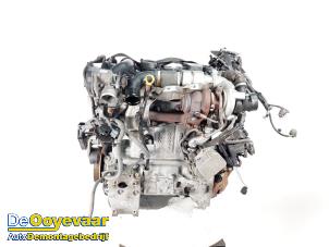 Used Engine Ford Fiesta 6 (JA8) 1.6 TDCi 16V 95 Price € 999,99 Margin scheme offered by Autodemontagebedrijf De Ooyevaar