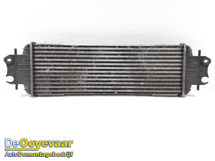 Used Intercooler Opel Vivaro 2.0 CDTI Price € 15,00 Margin scheme offered by Autodemontagebedrijf De Ooyevaar