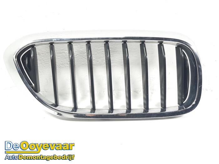 Grille from a BMW 5 serie (G30) M550i xDrive 4.4 V8 32V TwinPower Turbo 2017