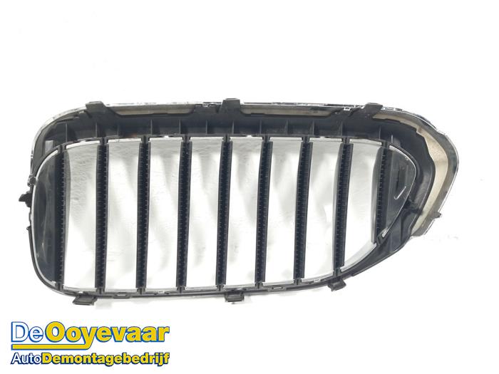 Grille from a BMW 5 serie (G30) M550i xDrive 4.4 V8 32V TwinPower Turbo 2017