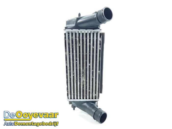 Usados Intercooler Ford EcoSport (JK8) 1.0 EcoBoost 12V 125 Precio € 29,99 Norma de margen ofrecido por Autodemontagebedrijf De Ooyevaar