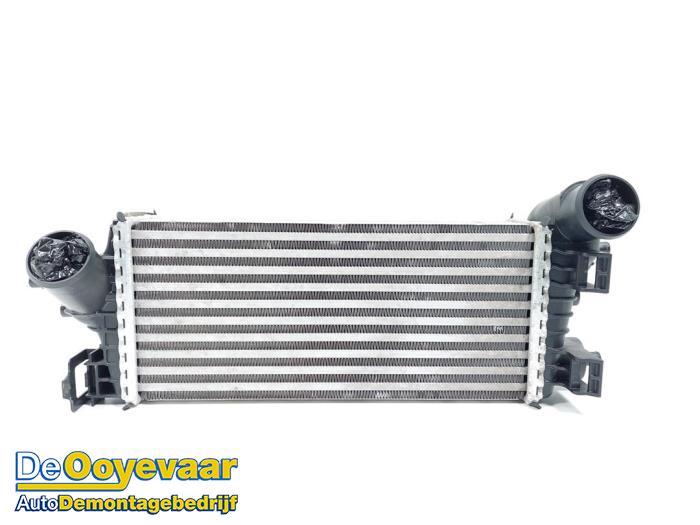 Used Intercooler Ford Focus 3 Wagon 1.0 Ti-VCT EcoBoost 12V 125 Price € 25,00 Margin scheme offered by Autodemontagebedrijf De Ooyevaar