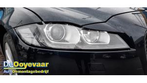 Used Headlight, right Jaguar XF (X260) 2.0d 180 16V Price € 824,99 Margin scheme offered by Autodemontagebedrijf De Ooyevaar