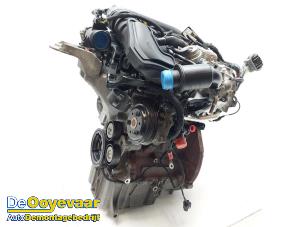 Used Engine Ford Fiesta 6 (JA8) 1.0 EcoBoost 12V 100 Price € 1.999,99 Margin scheme offered by Autodemontagebedrijf De Ooyevaar