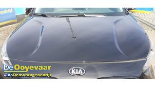 Used Bonnet Kia Niro I (DE) 64 kWh Price € 549,99 Margin scheme offered by Autodemontagebedrijf De Ooyevaar