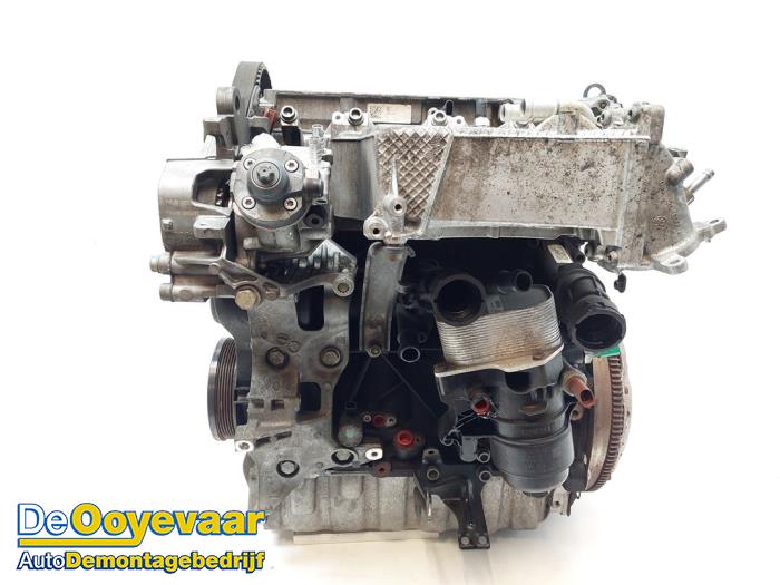 Engine Volkswagen Caddy IV 2.0 TDI 75 - 04L100090F DFSF