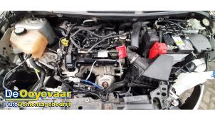 Used Engine Ford Fiesta 6 (JA8) 1.0 Ti-VCT 12V 65 Price € 1.749,99 Margin scheme offered by Autodemontagebedrijf De Ooyevaar