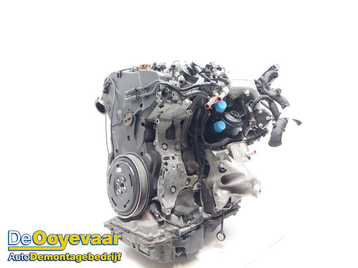Used Engine Audi A6 Avant (C8) 2.0 35 TDI Mild hybrid Price € 6.999,99 Margin scheme offered by Autodemontagebedrijf De Ooyevaar