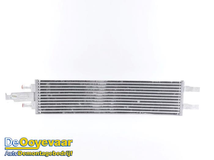 Usagé Radiateur Lynk &amp; Co 01 1.5 PHEV Prix € 99,99 Règlement à la marge proposé par Autodemontagebedrijf De Ooyevaar