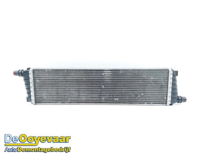 Usagé Radiateur Jaguar XK Convertible 5.0 XKR-S V8 32V Prix € 199,99 Règlement à la marge proposé par Autodemontagebedrijf De Ooyevaar