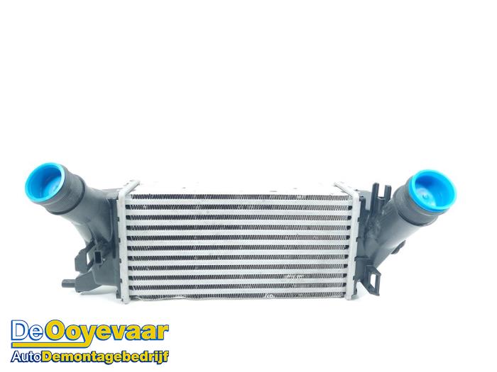 Usagé Intercooler Ford Fiesta 7 1.0 EcoBoost 12V 100 Prix € 45,00 Règlement à la marge proposé par Autodemontagebedrijf De Ooyevaar