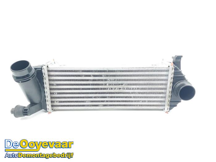Usados Intercooler Mercedes Citan (415.6) 1.5 109 CDI Precio € 39,99 Norma de margen ofrecido por Autodemontagebedrijf De Ooyevaar