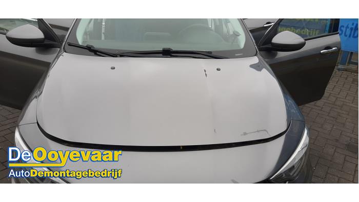 Używane Maska Fiat Tipo (356W/357W) 1.3 D 16V Multijet Cena € 249,99 Procedura marży oferowane przez Autodemontagebedrijf De Ooyevaar