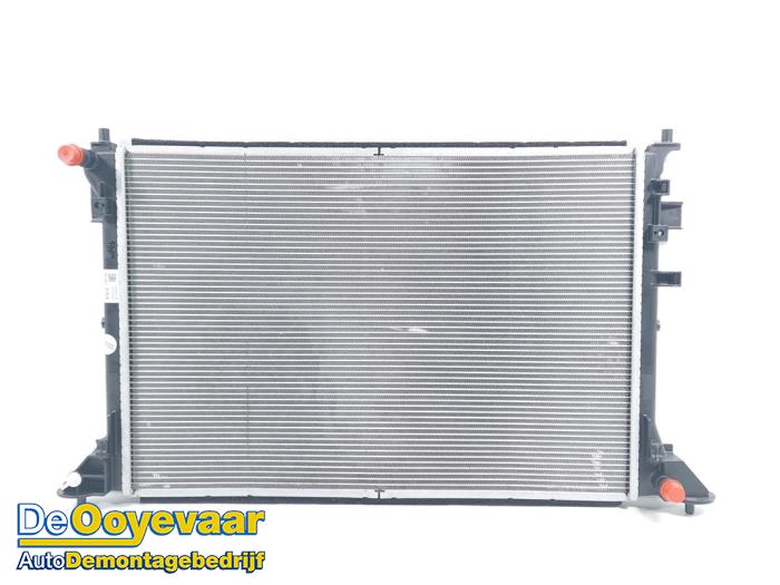 Usagé Radiateur Hyundai Ioniq 5 (NE) 58/63 kWh RWD Prix € 199,99 Règlement à la marge proposé par Autodemontagebedrijf De Ooyevaar